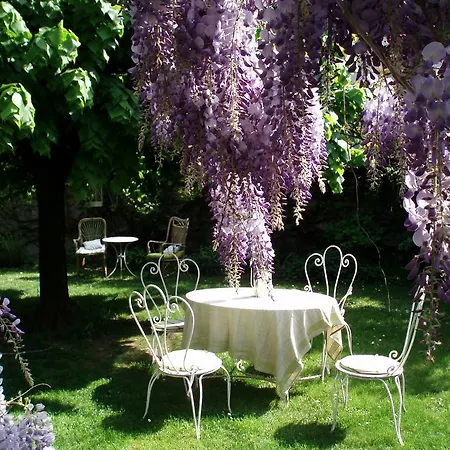 La Maison De Concise (Adults Only) Thonon-les-Bains