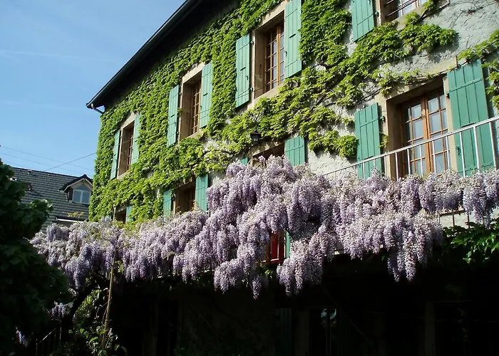 Maison d'hôtes La Maison De Concise - Adultes Uniquement Thonon-les-Bains