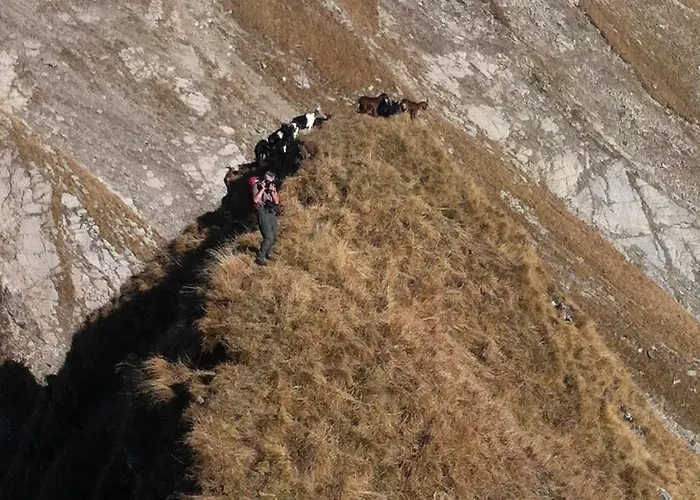 La Maison De Concise (Adults Only) 3*