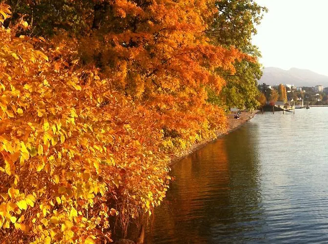 La Maison De Concise (adults Only) בית הארחה טונון-לה-בן